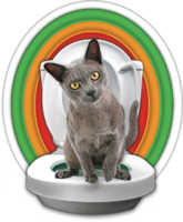Как приучить кошку пользоваться унитазом